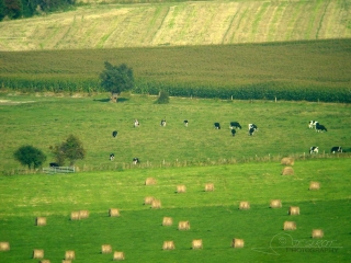 Polyculture élevage étagée – France