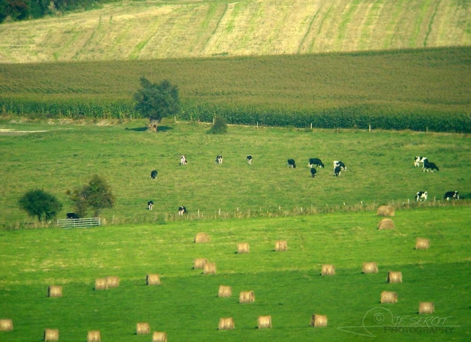 Polyculture élevage étagée – France