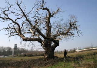 Recueillement – France