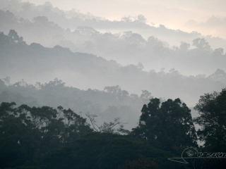 Vallées et brouillard matinale – Ouganda
