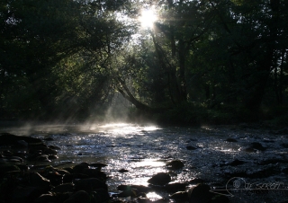 Cours d’eau, Dordogne – France