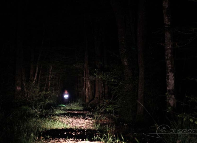 Prospection nocturne – France