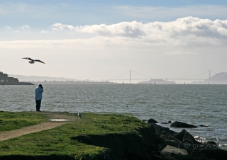Les oiseaux – Californie