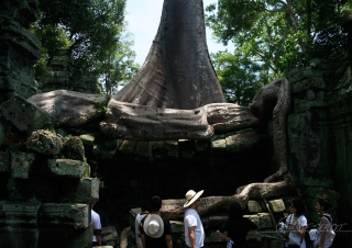 S’enraciner – Cambodge