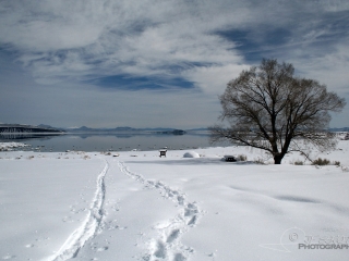 Mono Lake – Californie