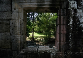 Vue sur arbre – Cambodge