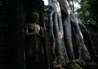 La conquête – Cambodge