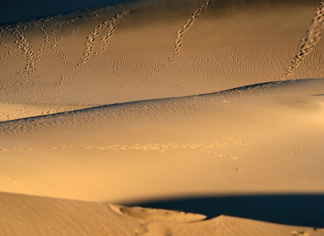Dunes, Vallée de la mort – Californie