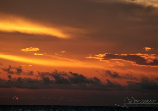 Zanzibar – Tanzanie