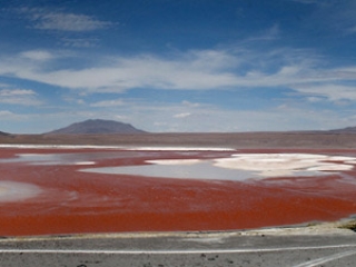 Laguna Colorada,  Sud Lipez – Bolivie
