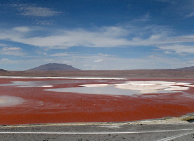 Laguna Colorada,  Sud Lipez – Bolivie