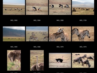 Ngorongoro Crater – Tanzanie