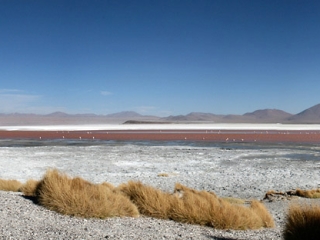 Laguna Colorada 2 – Bolivie