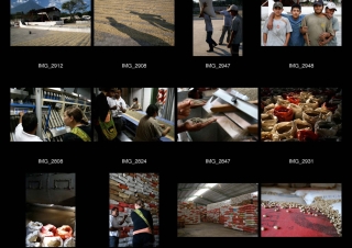 Fedecocagua et le commerce équitable : rémunérer à un juste prix les producteurs de café