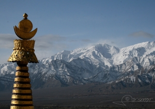 Au sommet, Ladakh – Inde