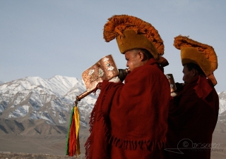 Trompette tibétaine, Ladakh – Inde