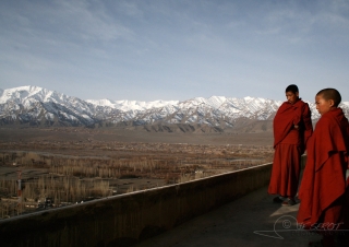 Jeunes moines, Ladakh – Inde