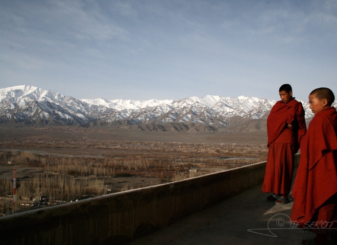 Jeunes moines, Ladakh – Inde