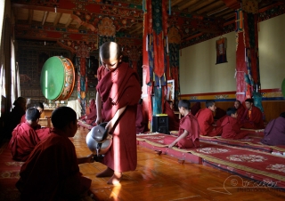 Butter tea, Monastère de Tiksé – Inde