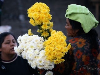 Fleuriste – Guatemala