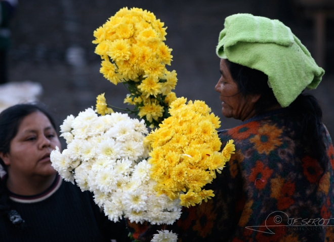 Fleuriste – Guatemala