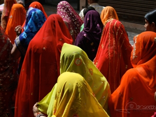 Mariage en couleur, Pushkar – Inde