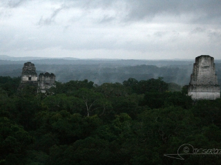 Tikal – Guatemala