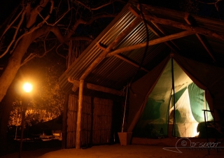 Moustiquaire – Botswana