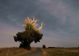 Rayonnement lunaire – France