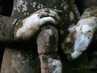 Les ruines d’Angkor – Cambodge