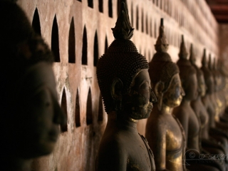 Temple à bouddhas – Laos