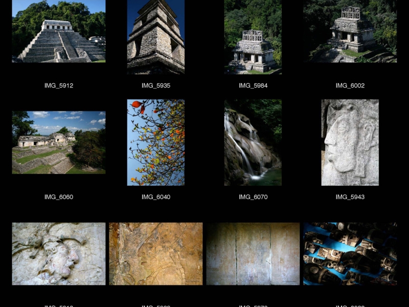 Cité maya de Palenque – Mexique