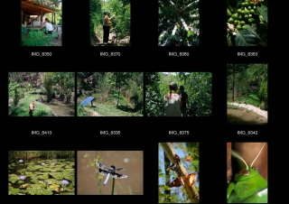 Auke : Un jardin d’Eden au cœur de l’Afrique