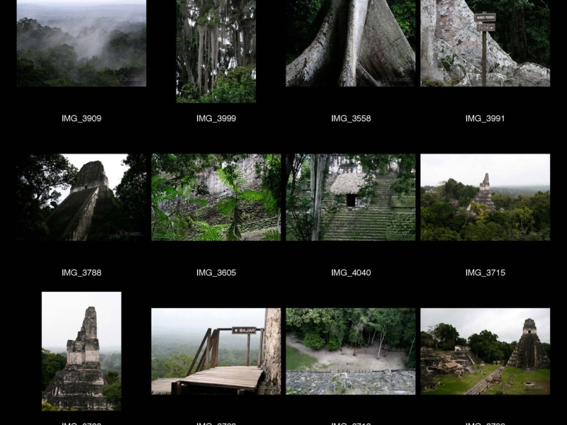 Tikal – Guatemala