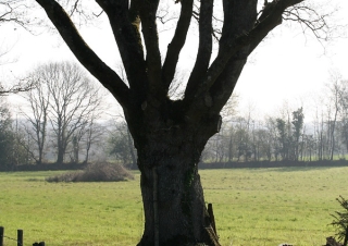 Biodiversité, tout doit disparaître 1 / 22 – NDDL