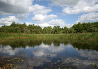 Biodiversité, tout doit disparaître 2 / 22 – NDDL
