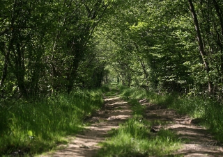 Biodiversité, tout doit disparaître 22 / 22 – NDDL