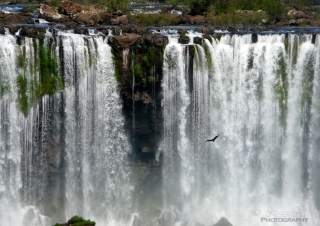 Chutes d’Iguazú – Brésil