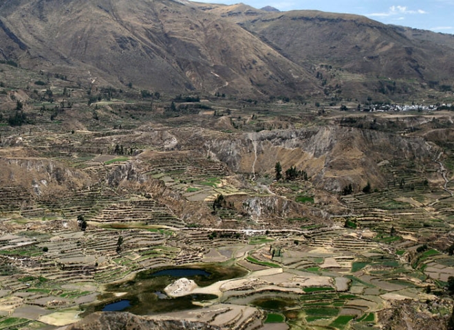 Culture en terrasses au bord de la rivière de Colca – Pérou