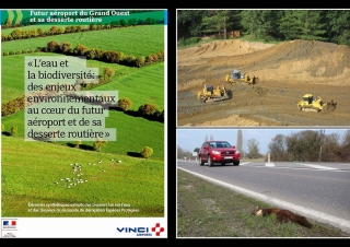 Hommage à une nature en voie de destruction