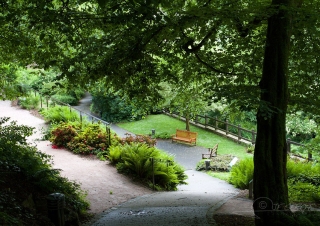 Parc urbain, Fougère – France