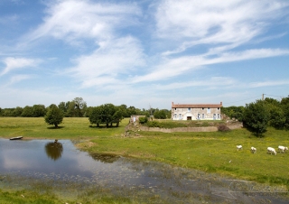 Boire de Loire Angevine – France