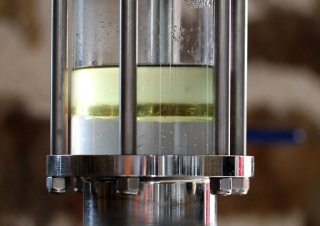 Distillation d’huile essentielle, Avelenn – France