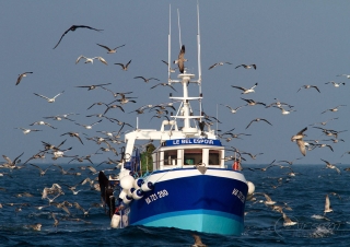 A la pêche, Hoedic – France
