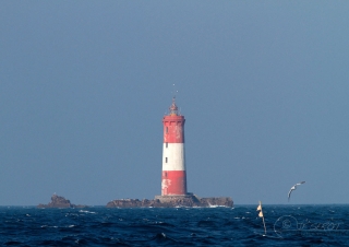 Les Grands Cardinaux, Hoedic – France