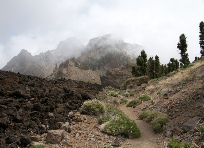 Parc national du volcan Teide à Tenerife – Canaries