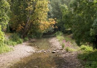 Vallée de la Boutonne – France