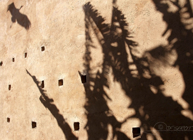 Cigogne blanche en ombre portée – Maroc